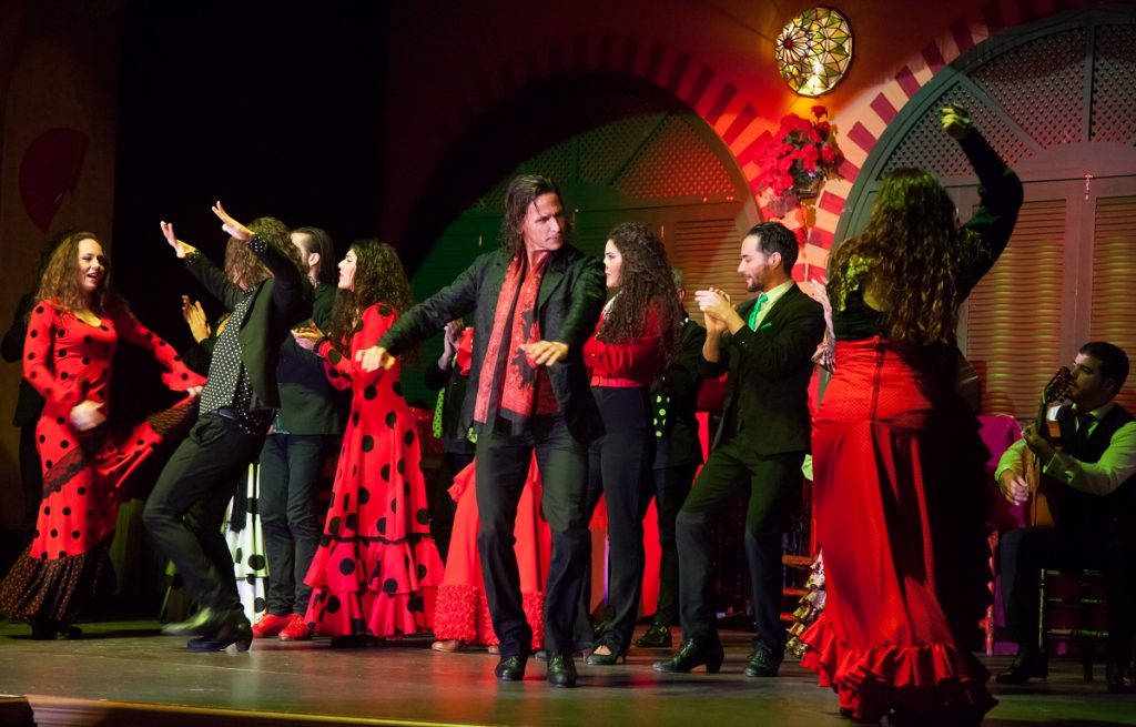 Flamenco-1024x655 "Explora Andalucía en Noviembre con ViviCar: La Libertad de Viajar en Furgoneta de Nueve Plazas"