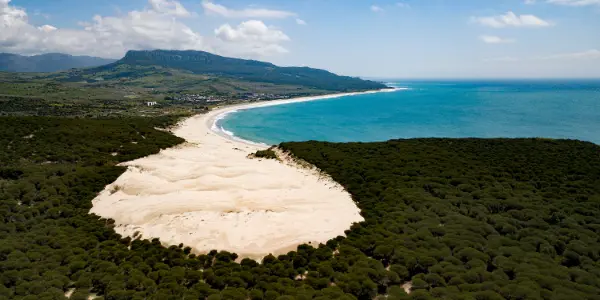 variant Hay playas… y luego está Bolonia